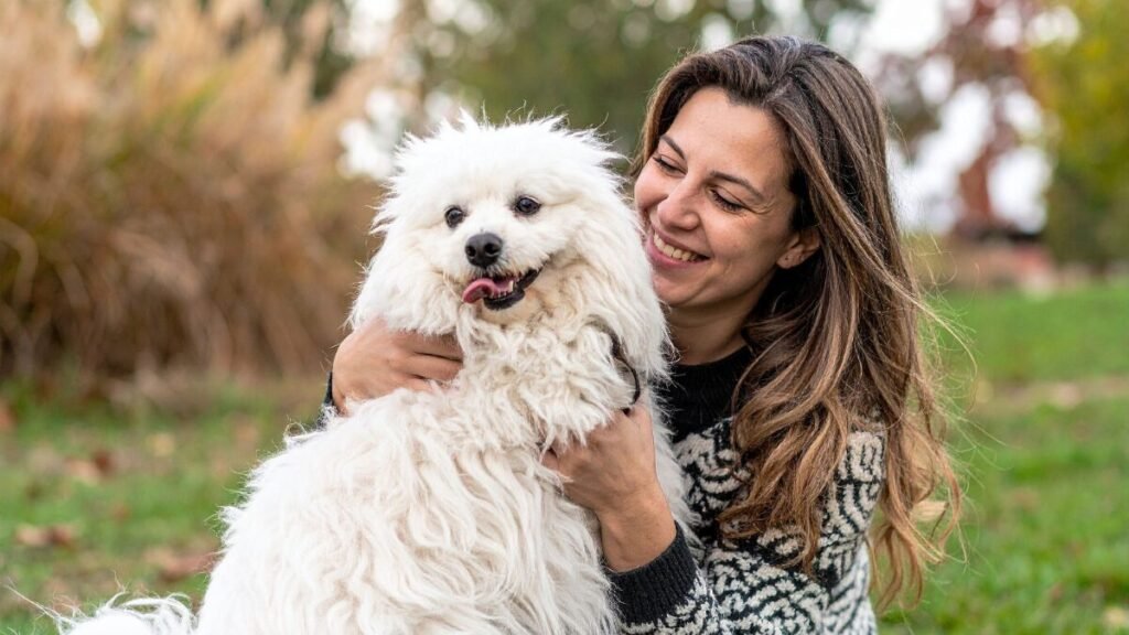 Qual tipo de tutor é você?