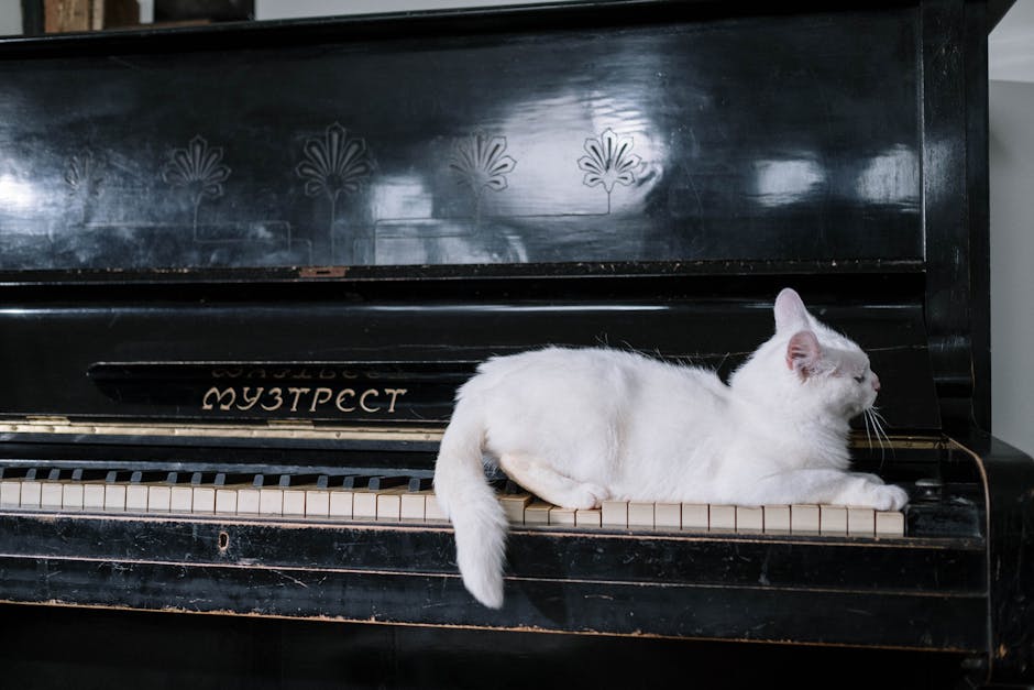 White cat comfortably lying on piano keys, highlighting a serene domestic setting.