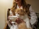 A fluffy cat in a woman's lap enjoys milk from a ceramic teacup. Cozy indoor setting.