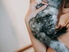 From above side view of crop anonymous female embracing cat with gray and black fur in daytime