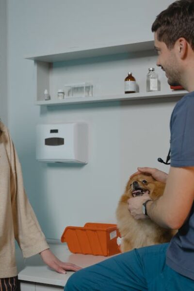 Veterinarian consulting with dog owner in a clinic while holding a Pomeranian.