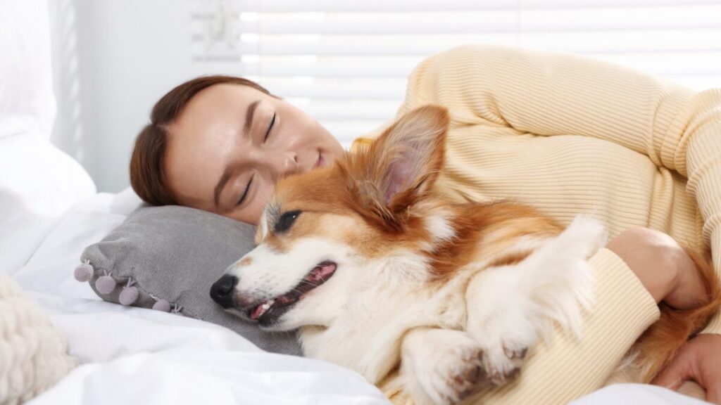 Pets em Hospitais Com os Tutores