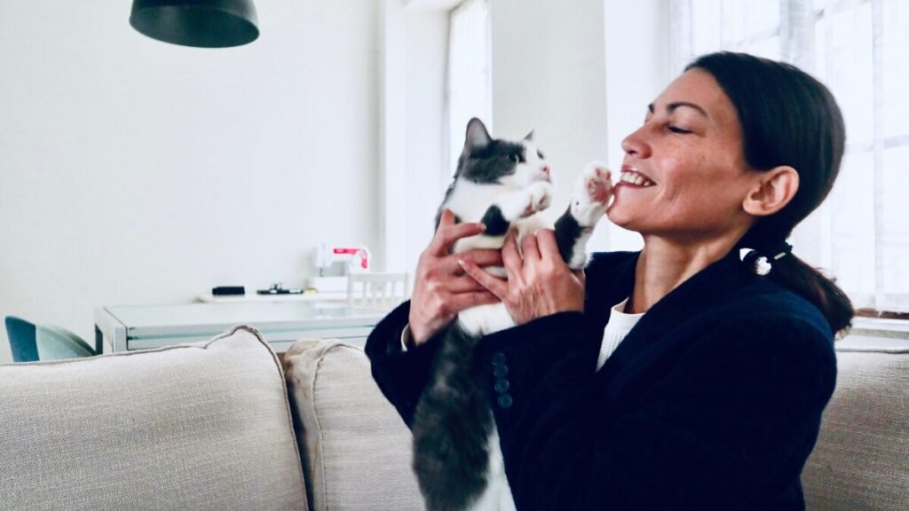 12 Motivos pelos quais Deus colocou um gato na sua vida