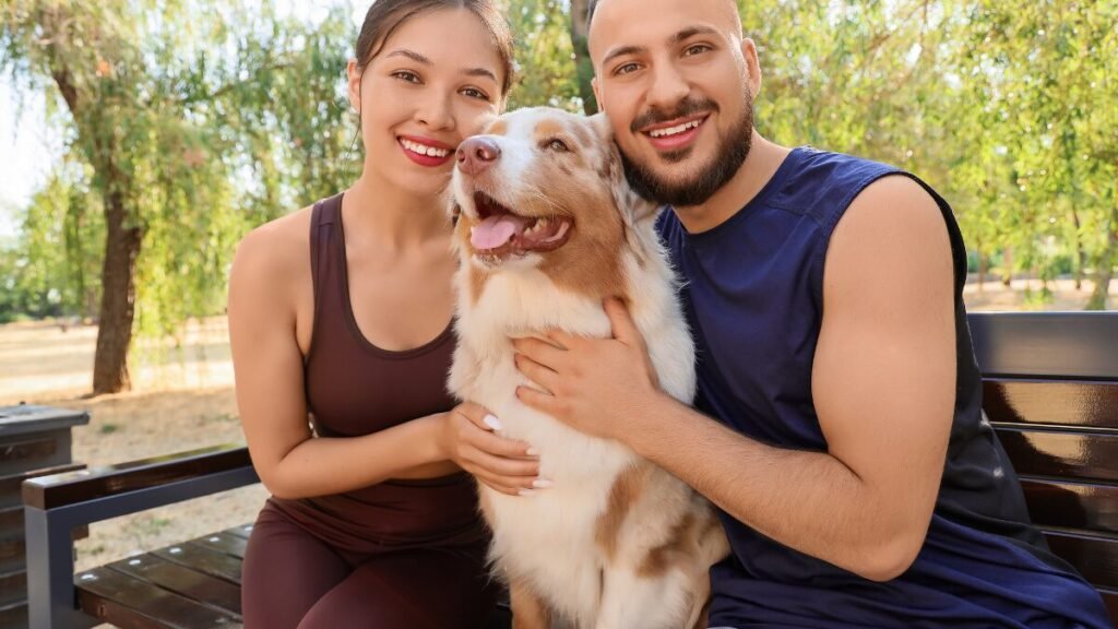 Faltar o trabalho para cuidar de animais