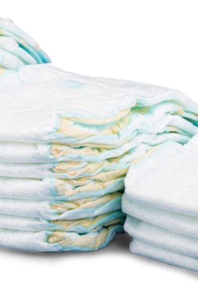 Incontinência urinária em cães 9 sinais de alerta