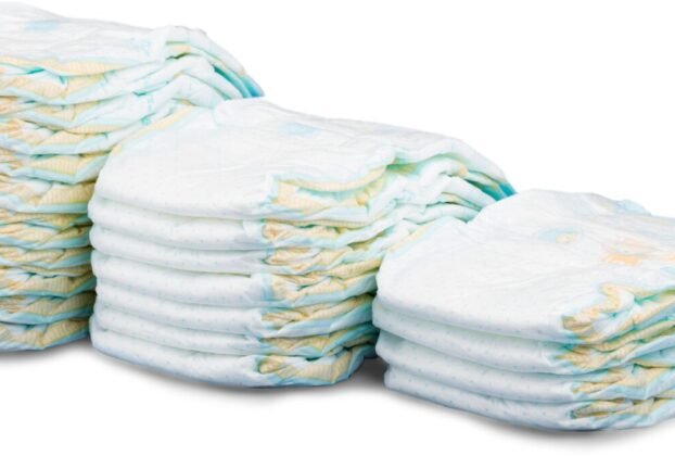 Incontinência urinária em cães 9 sinais de alerta