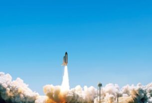 Laika, a vira-lata pioneira do espaço