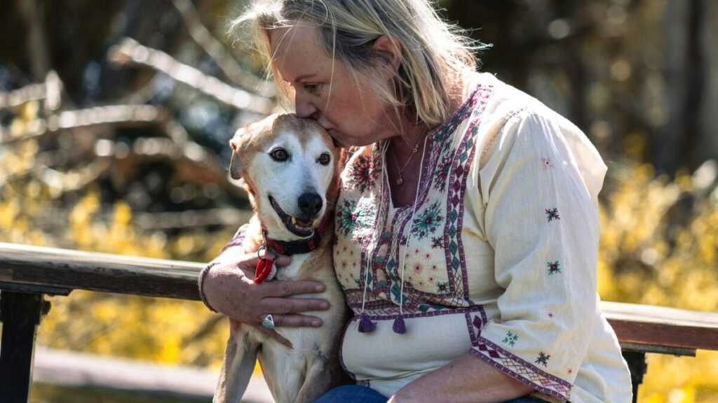 Precisa saber antes de ter um pet com planejamento