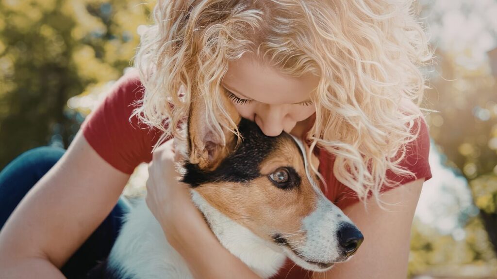 Precisa saber antes de ter um pet e adaptar ambiente