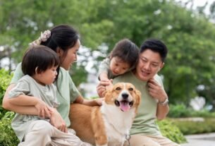 Precisa saber antes de ter um pet e assumir responsabilidade
