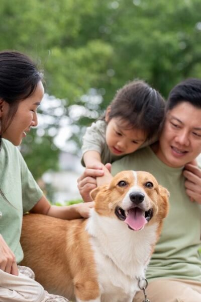 Precisa saber antes de ter um pet e assumir responsabilidade