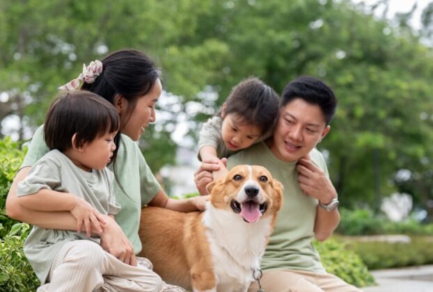 Precisa saber antes de ter um pet e assumir responsabilidade