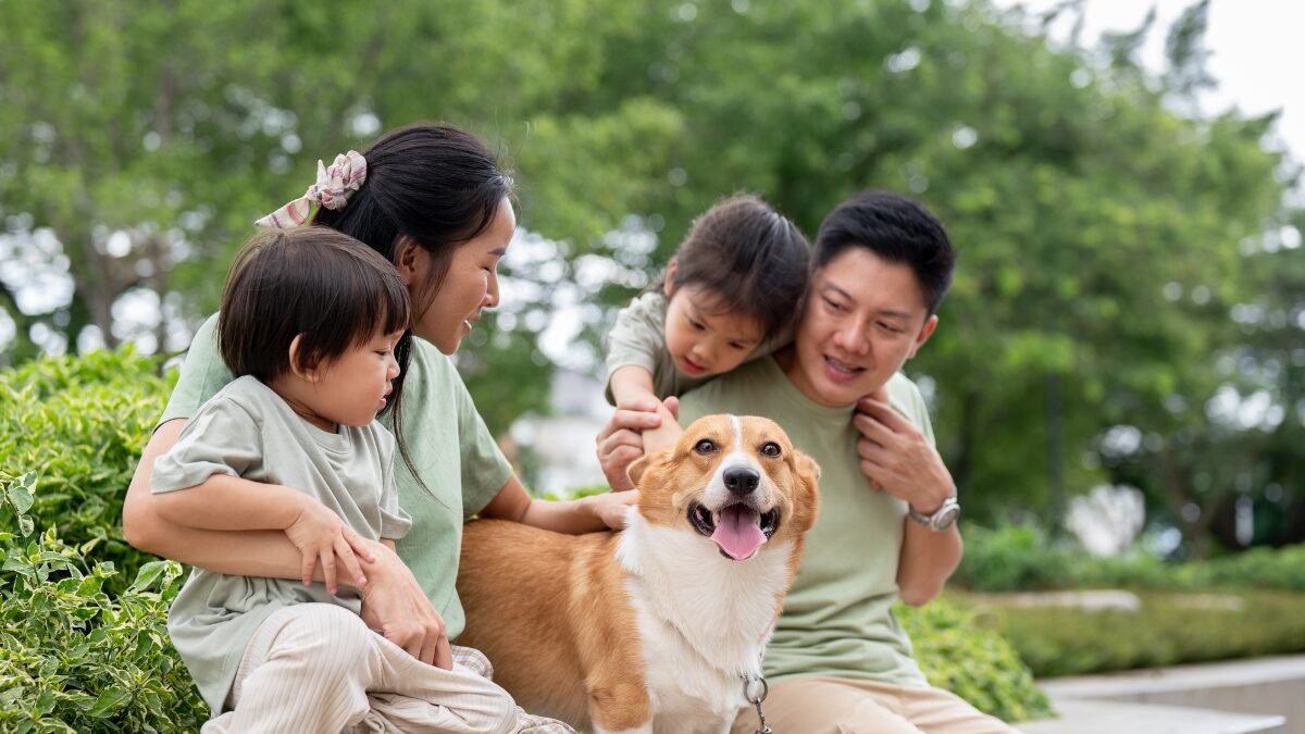 Precisa saber antes de ter um pet e assumir responsabilidade