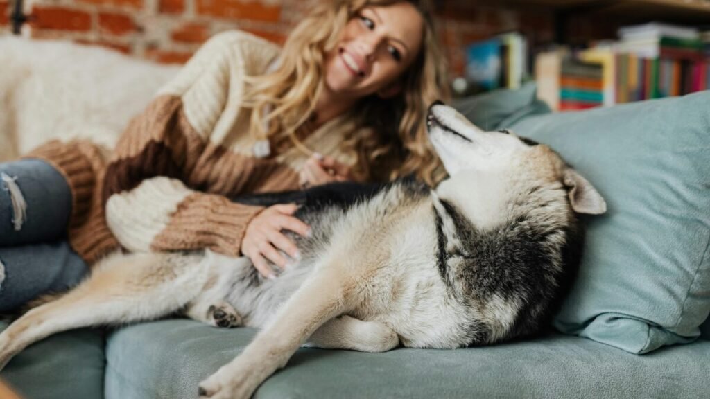 cuidar do pet com a rotina corrida e carinho