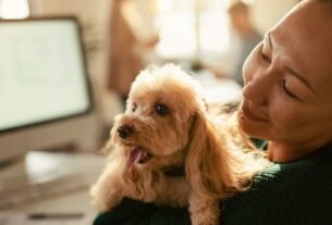 cuidar do pet com a rotina corrida em casa