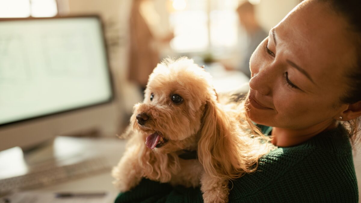 cuidar do pet com a rotina corrida em casa