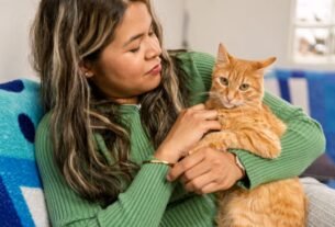 gato em sua vida trazendo paz e companhia