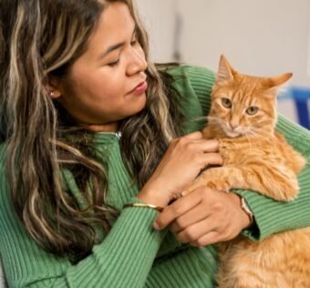 gato em sua vida trazendo paz e companhia