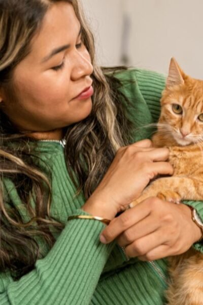 gato em sua vida trazendo paz e companhia