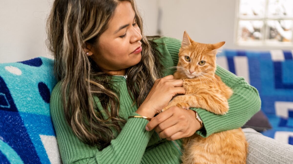 gato em sua vida trazendo paz e companhia
