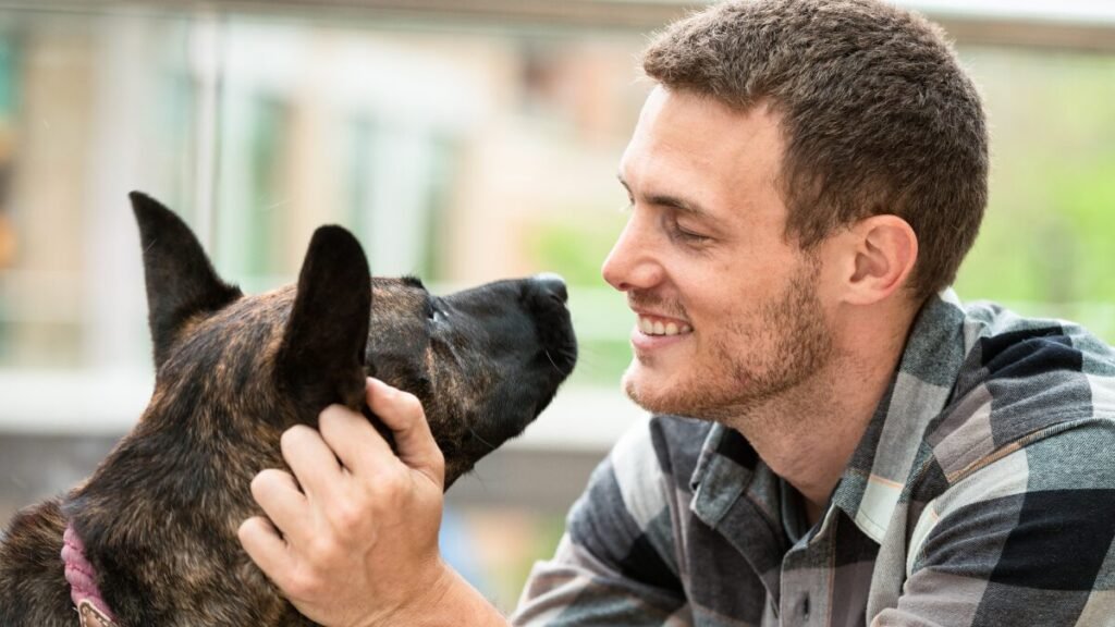 os tutores de pets devem ter alimentação consciente