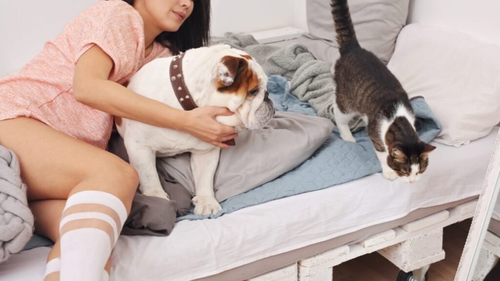 os tutores de pets devem ter prevenção e segurança