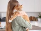 Ana Castela virou mãe Gatinho e alerta do leite