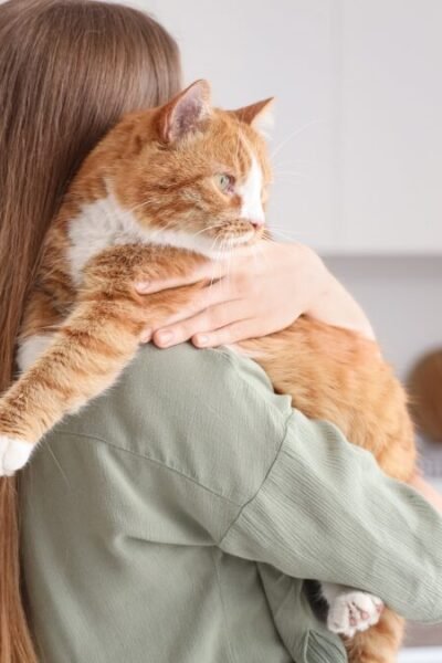 Ana Castela virou mãe Gatinho e alerta do leite