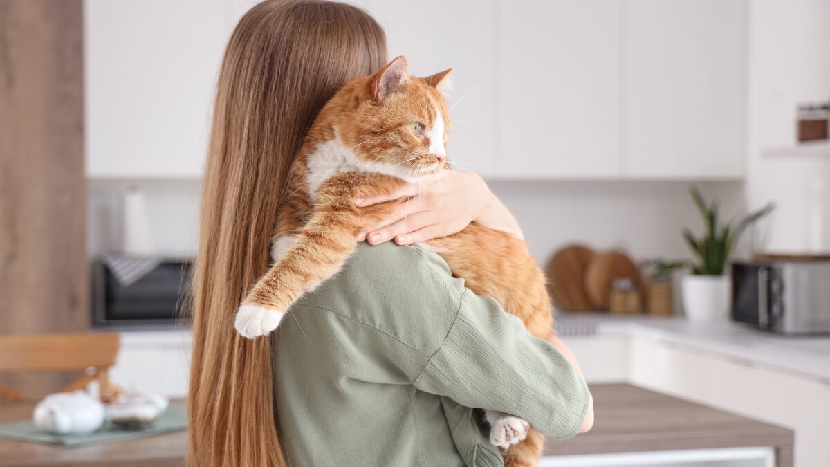 Ana Castela virou mãe Gatinho e alerta do leite